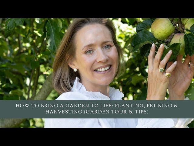 How To Bring A Garden To Life: Planting, Pruning & Harvesting (Garden Tour & Tips)