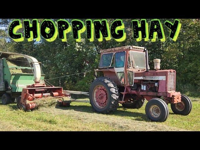 Chopping and Bagging Haylage