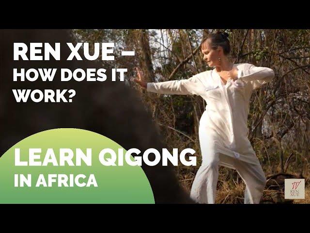 What is REN XUE and Yuan Qigong? | Wisdom system REN XUE explained