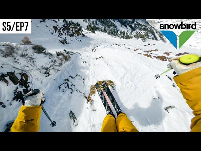 exploring NEW LINES at SNOWBIRD!!