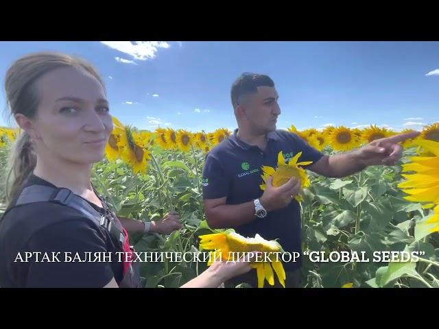 Гибриды подсолнечника от Агро Партнера