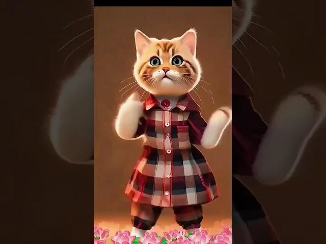 best cat dance #trndin #vailer vidio#sort vidio
