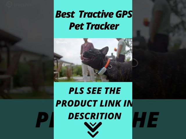 Best Tractive GPS Pet Tracker 2023 ? Top Tractive GPS Pet Tracker review. [Buying Guide]