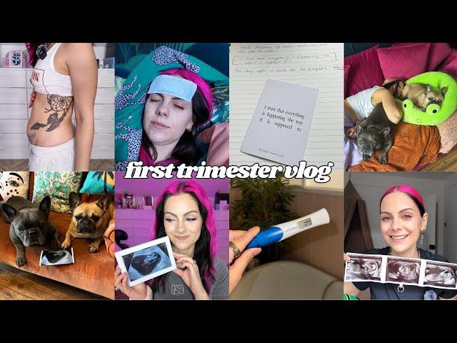 FIRST TRIMESTER VLOG | 4-14 weeks pregnancy diary, symptoms, bump updates + our first scans!