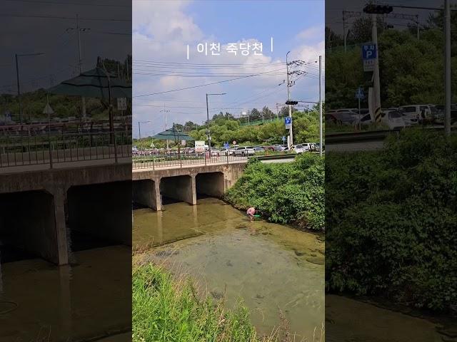 이천 죽당천 신비의 구피천 위치 주차팁