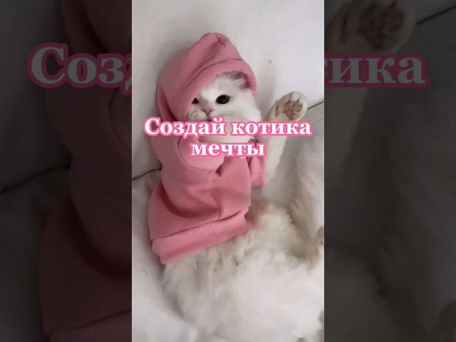 Создай котика мечты #выбирашки #vs #кот #котики #выбери #создай #shortvideo