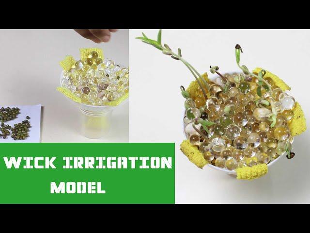 Wick Irrigation Model | ThinkTac