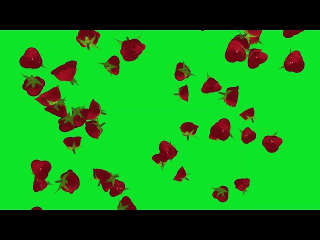 Best Animation Rose Flowers Falling Green Screen Video HD | No Copyright Footage