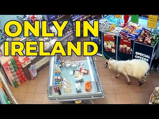 Only in.... Ireland