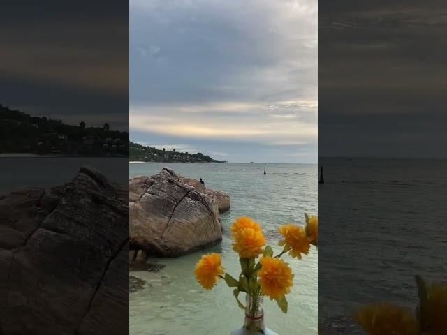 Nature's beauty 