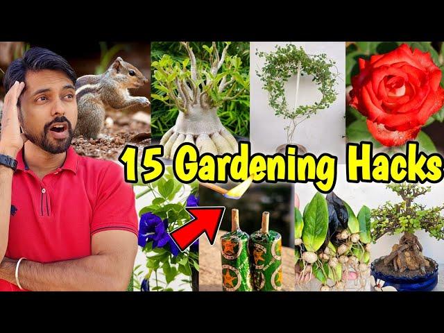 My 15 Gardening Hacks you must know | Rose Plant DIY (Part-5)