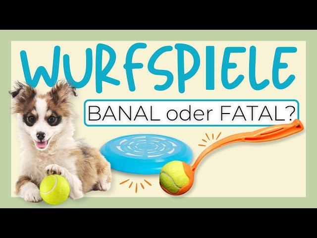 BEACHTE DIESE TIPPS, SONST KANN DAS SPIEL MIT HUND ERNSTE FOLGEN HABEN 