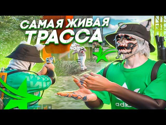 САМАЯ ЖИВАЯ ТРАССА В GTA 5 RP HAWICK - ТУЛЕВО ГТА 5 РП