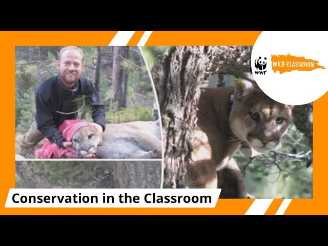 Adventures as a Wildlife Biologist