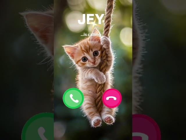 JEY CAT CALLING #funny #ringtone #cat #youtubeshorts #shorts #funnycats #catlover #shortvideo