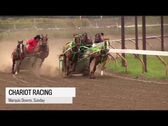 Video: Chariot racing