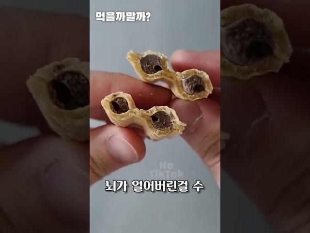 얼려먹어야 맛있음