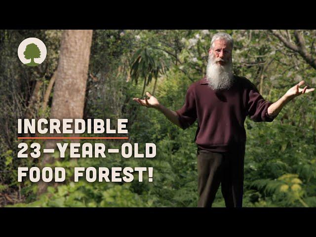 Amazing 23-Year-Old Permaculture Food Forest - An Invitation for Wildness