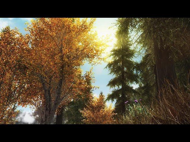 Skyrim Special Edition Xbox One: Part 92 – The Witcher 3 Music Overhaul