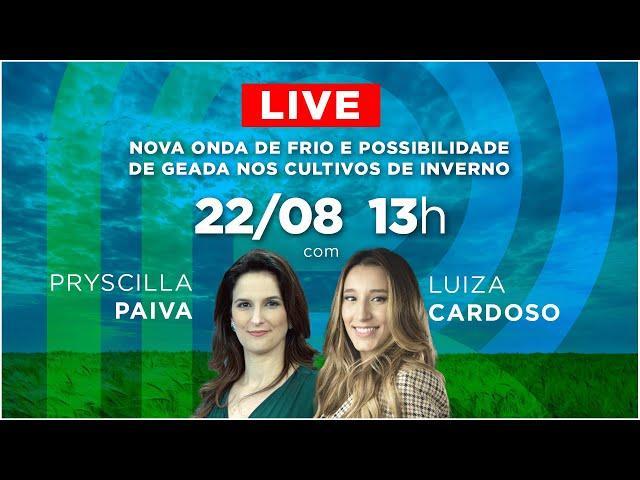 AO VIVO: nova onda de frio e possibilidade de geada nos cultivos de inverno