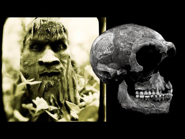 Neanderthals Debunked -  Scientists Uncover the Truth About Neanderthals