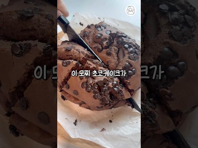 알고리즘을 장악한 모찌 초코케이크