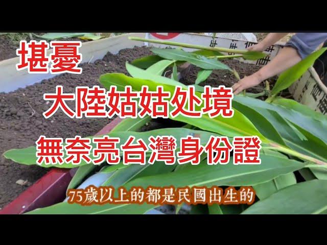 台灣長輩太幸福️大陸姑媽被當韭菜目標糾纏️台灣姪女亮出台灣身份證️她們知難而退️