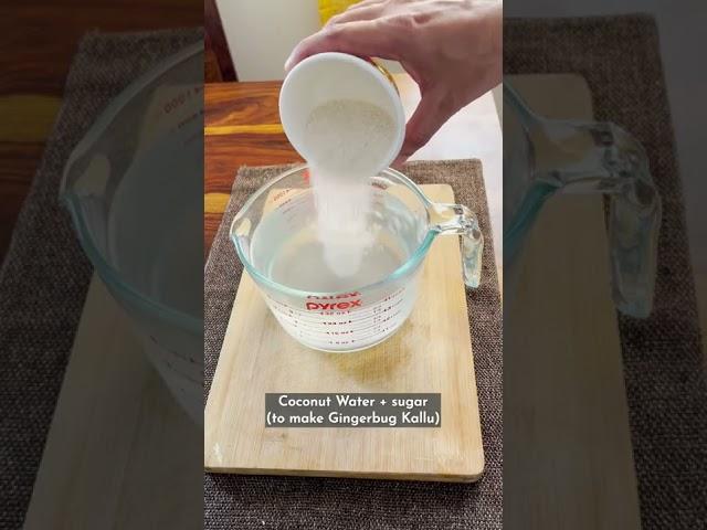 DIY Fizzy Booze using Ginger