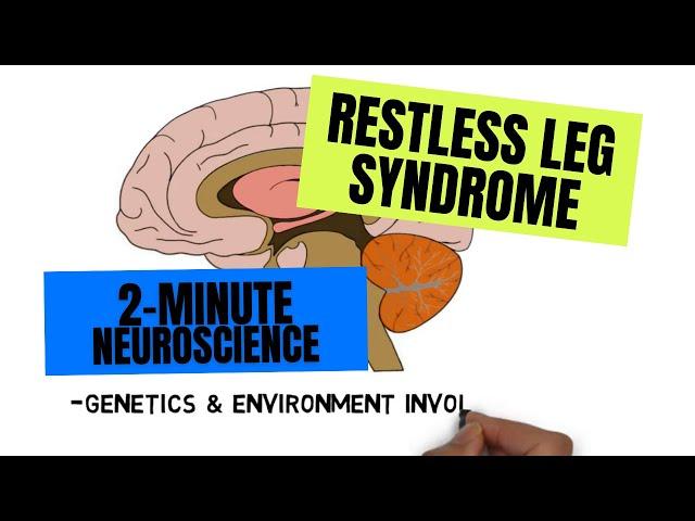 2-Minute Neuroscience: Restless Legs Syndrome