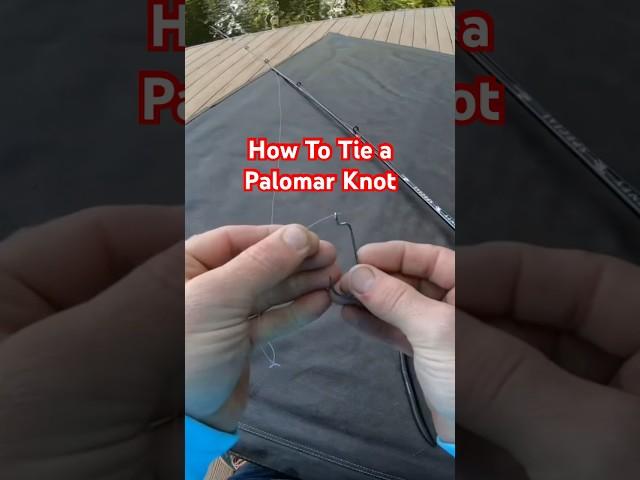 The Knot I Use Most that Never Let's Me Down #fishing #bassfishing