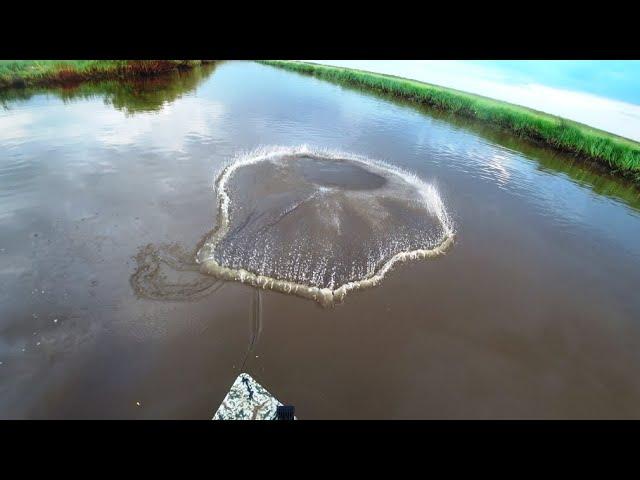 Ловим рыбу НАКРИВУШКОЙ. Хищник на спиннинг.  Опять весь вымок.