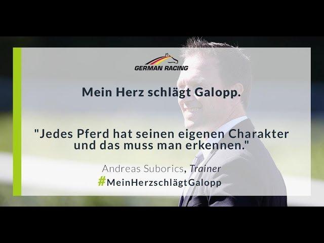 Mein Herz schlägt Galopp - Im Rennstall von Andreas Suborics