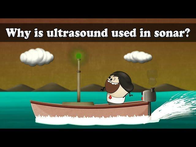 Why is ultrasound used in sonar? | #aumsum #kids #science #education #children