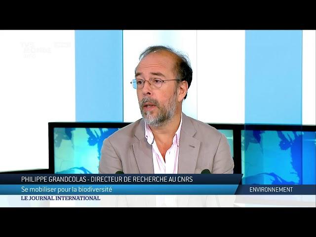 Le journal international - L'actualité internationale du lundi 18 novembre 2024 - TV5MONDE