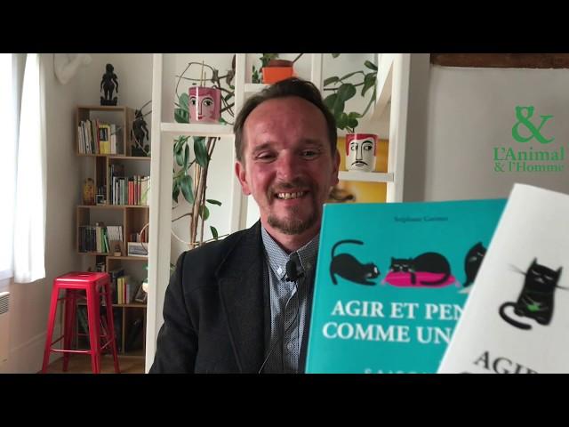 Interview 1 de Stéphane Garnier : Le chat, roi du bonheur