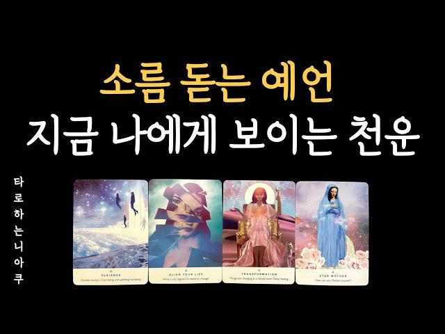 [타로] 앞으로 나에게 들어오는  예상 밖의 천운, 소름돋는 예언