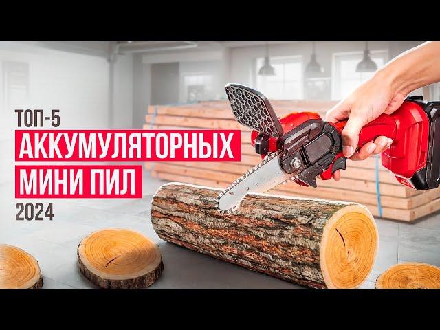 Лучшие бюджетные аккумуляторные мини-пилы. Рейтинг цепных электрических сучкорезов в 2024 году!