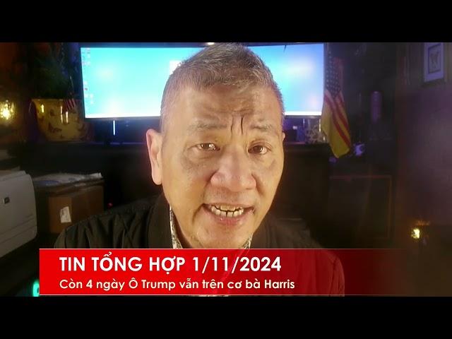 TIN TỔNG HỢP 1/11/2024