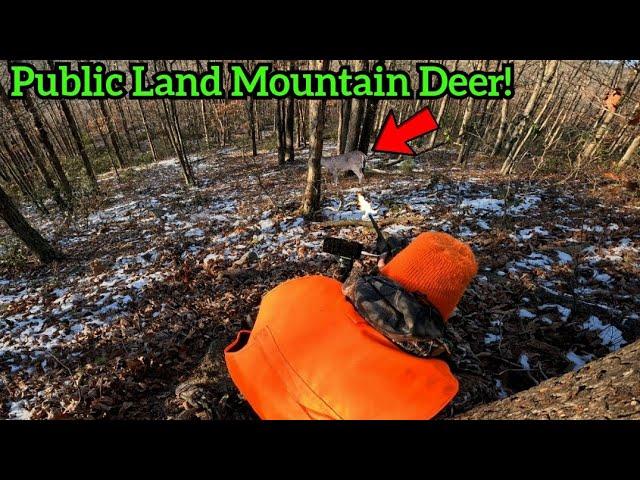 PA RIFLE HUNTING DEER SEASON SUCCESS! Public land PA rifle deer hunting!