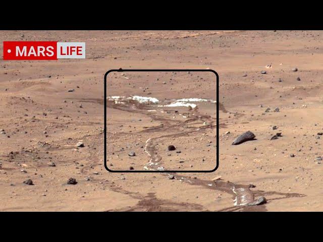 NASA Mars Rover Sent Super Incredible Footage of Mars! Perseverance and Curiosity' Rover Mars in 4K