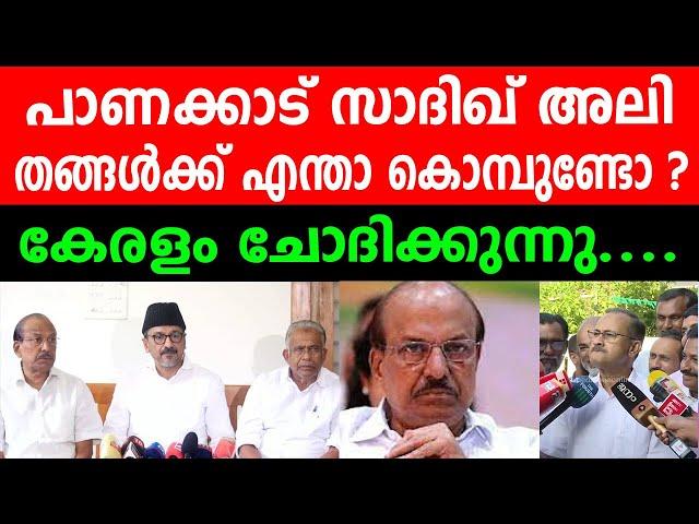 പാണക്കാട് സാദിഖ് അലി തങ്ങൾക്ക് എന്താ കൊമ്പുണ്ടോ ?  കേരളം ചോദിക്കുന്നു.... PANAKKAD SADIQ ALI THANGAL