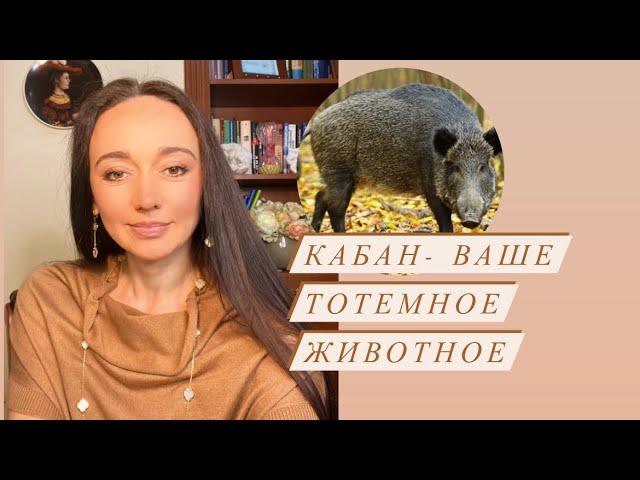 Кабан (вепрь) - ваше тотемное животное# духовный проводник#