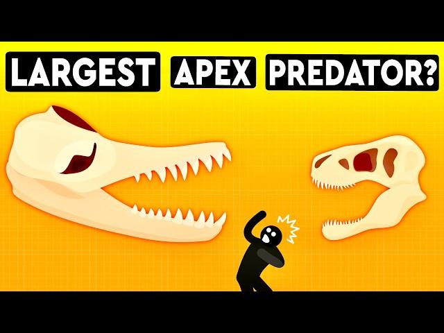 What’s The Largest Apex Predator To Have Ever Existed? DEBUNKED