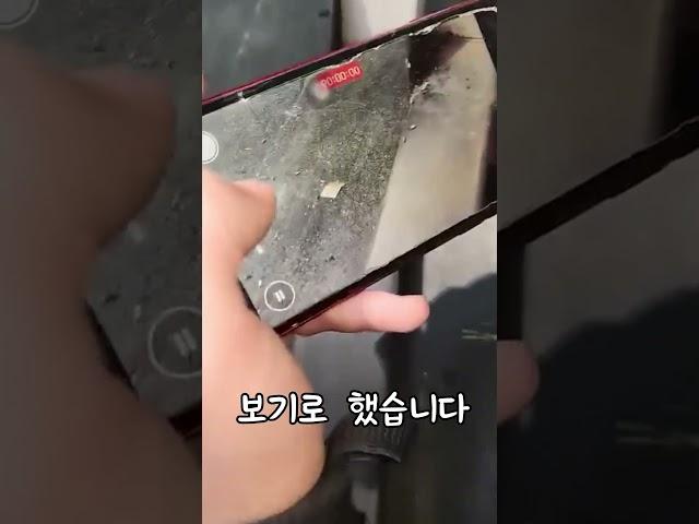 놀라운 스마트폰 Zoom 기능
