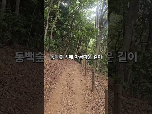 #오솔길 #숲길여행 #걷는사람들 #공곶이 #여행그리기 #여행 #포토존 #산책할때 #아름다운길 #포토존 #풍경그림 #travel #국내여행