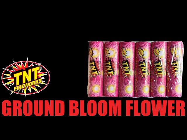 Ground Bloom Flower - TNT Fireworks® Official Video