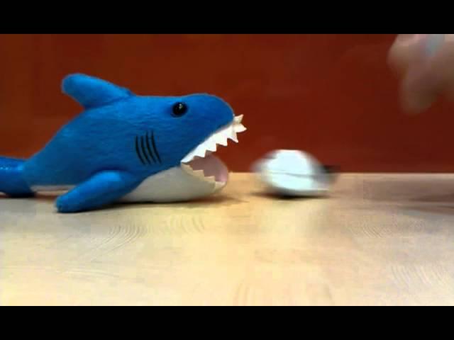 OMG real shark eats plane