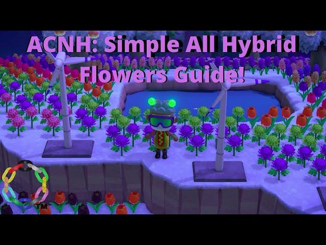 ACNH: Simple and Successful Hybrid Flowers Guide!