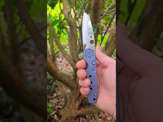 Spyderco Smock w/t  Custom Kevin Smock Scales is A Favorite In My Collection! #shorts #spyderco #edc