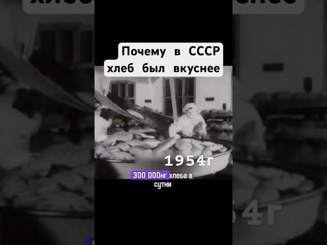Почему в СССР хлеб был вкуснее #хлеб #ссср #сделановссср #завод #шортс #shorts  #хроника #продукты